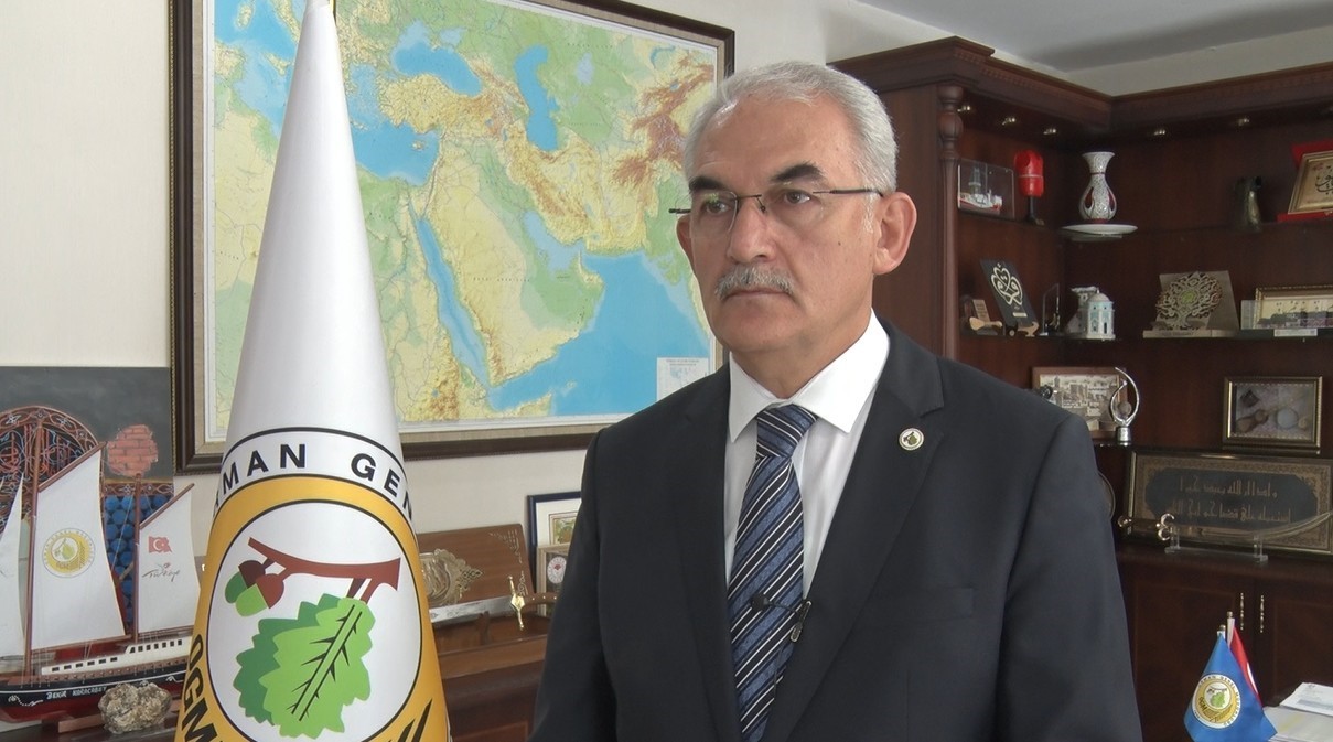 kullerinden dogan ormanlar yanan alanlar ozel dikim teknigiyle yeniden yeseriyor 7 zcgar5cJ