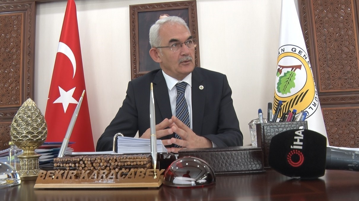 kullerinden dogan ormanlar yanan alanlar ozel dikim teknigiyle yeniden yeseriyor 8