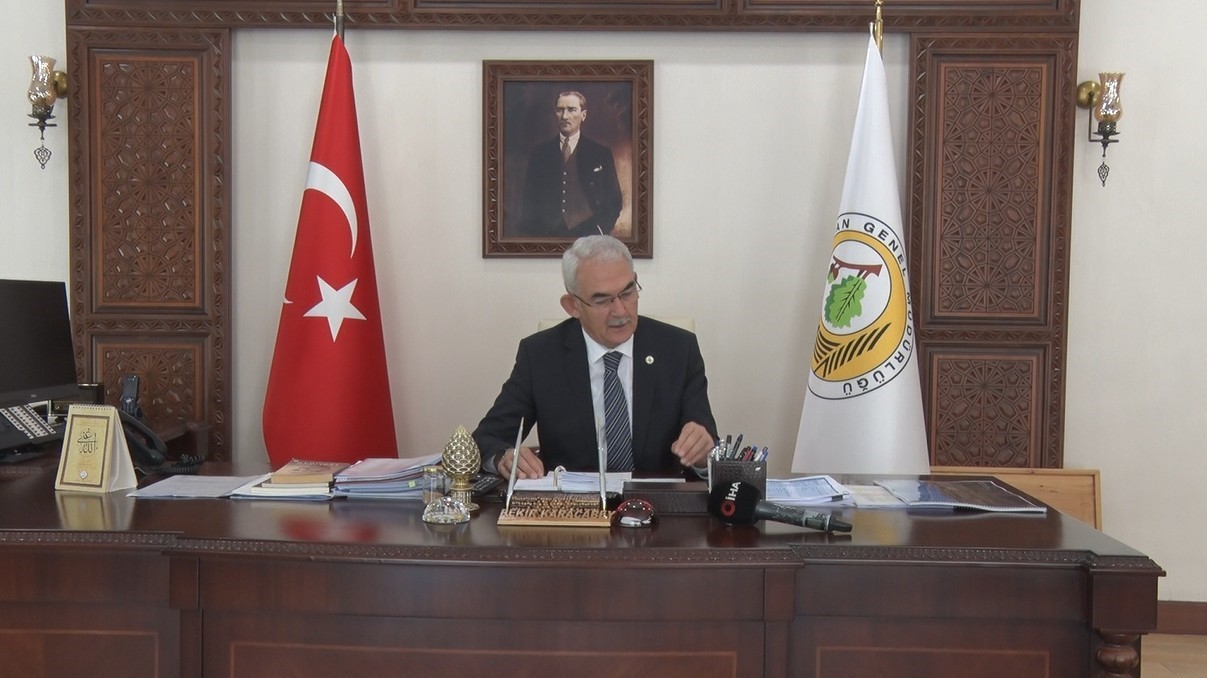 kullerinden dogan ormanlar yanan alanlar ozel dikim teknigiyle yeniden yeseriyor 9 qtN7uZdg