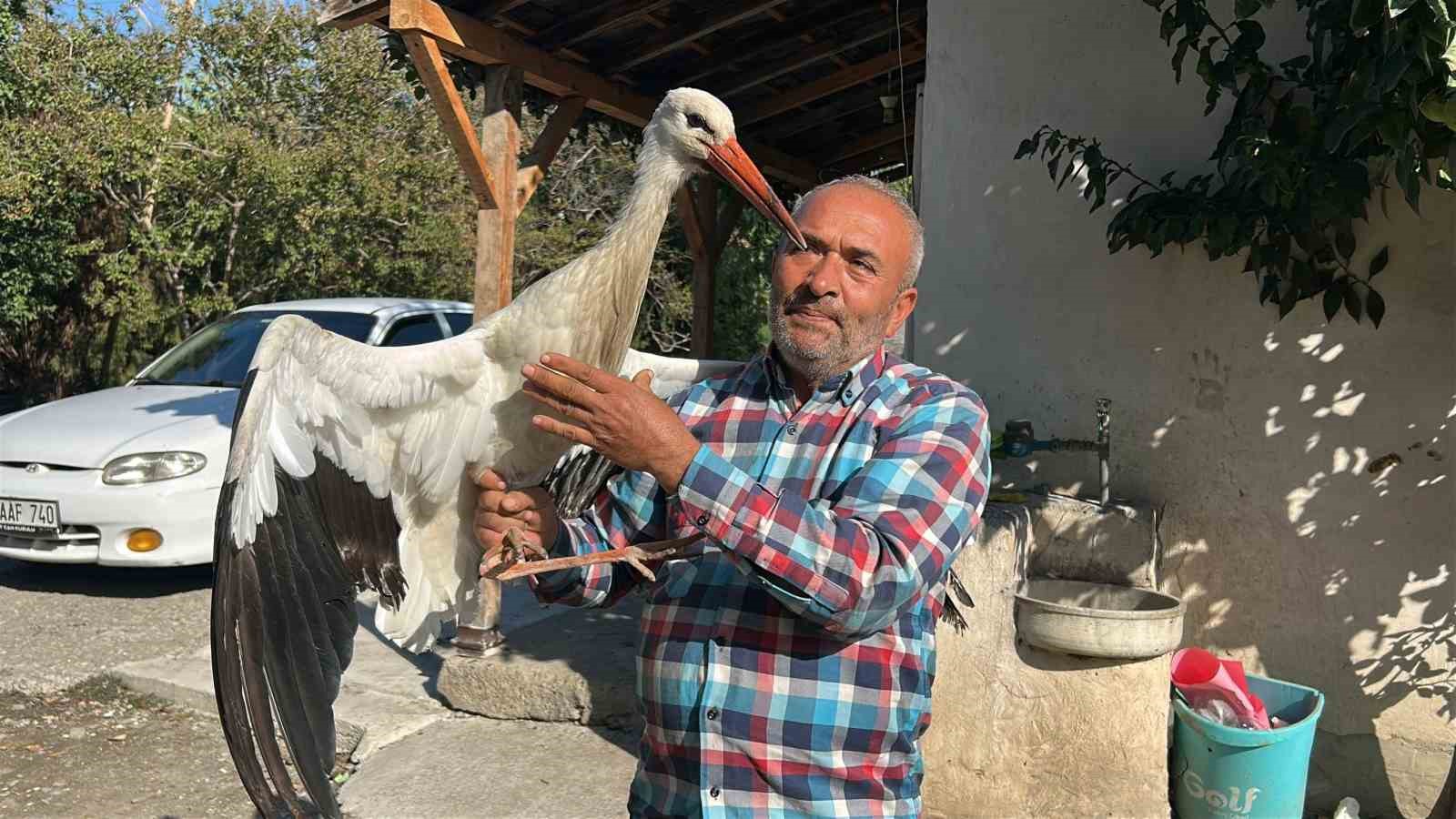 kumeste tavuklarla birlikte yasayan leylek balikla besleniyor 1 VPGcwHCz
