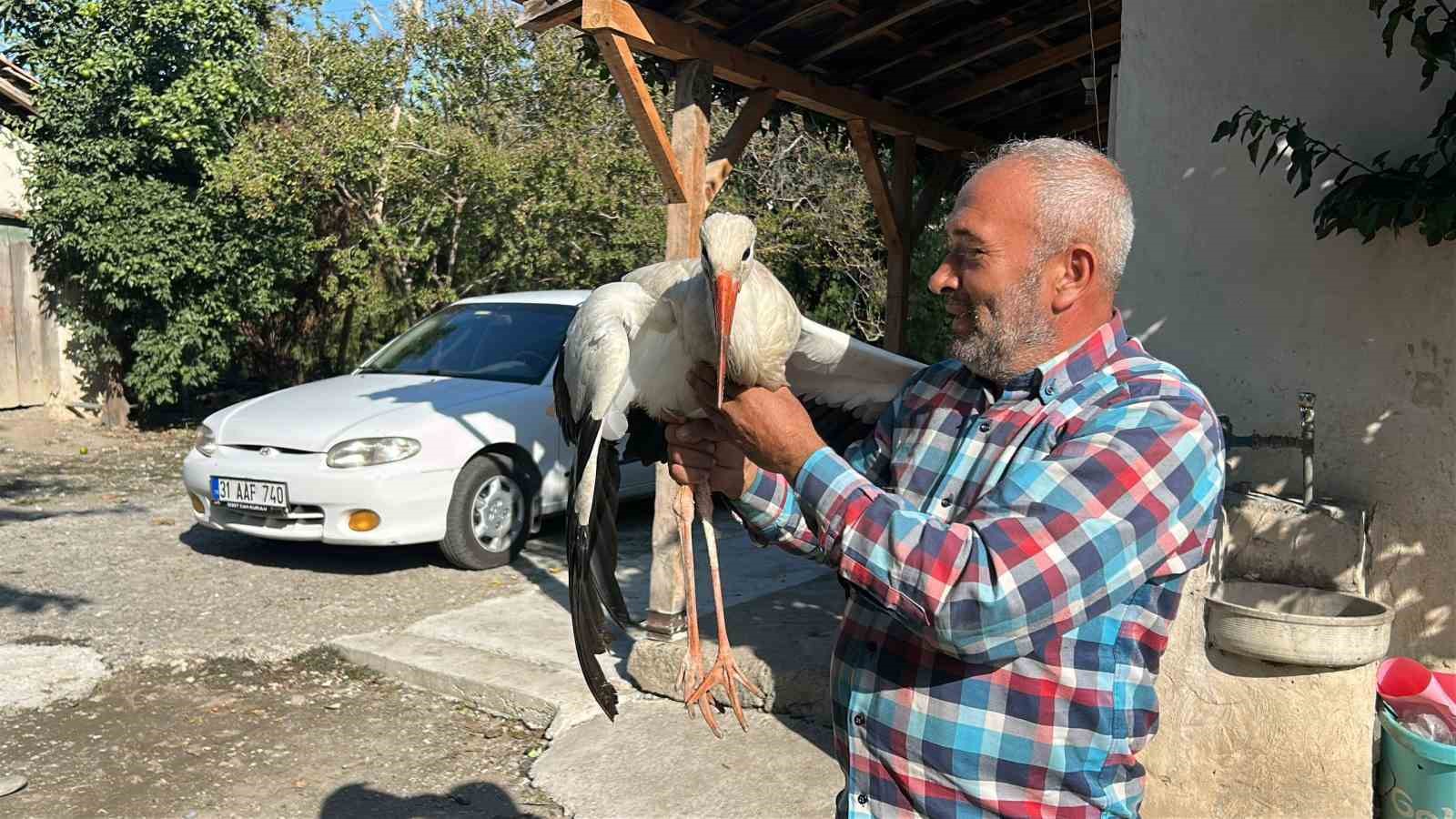kumeste tavuklarla birlikte yasayan leylek balikla besleniyor 2 9tfA9EO2