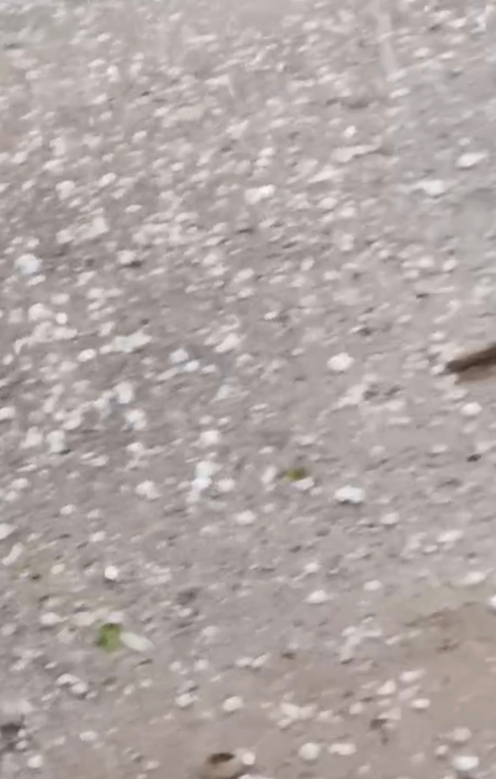 kumlucada aniden bastiran dolu yagisi etkili oldu 2 FiDnY2MI