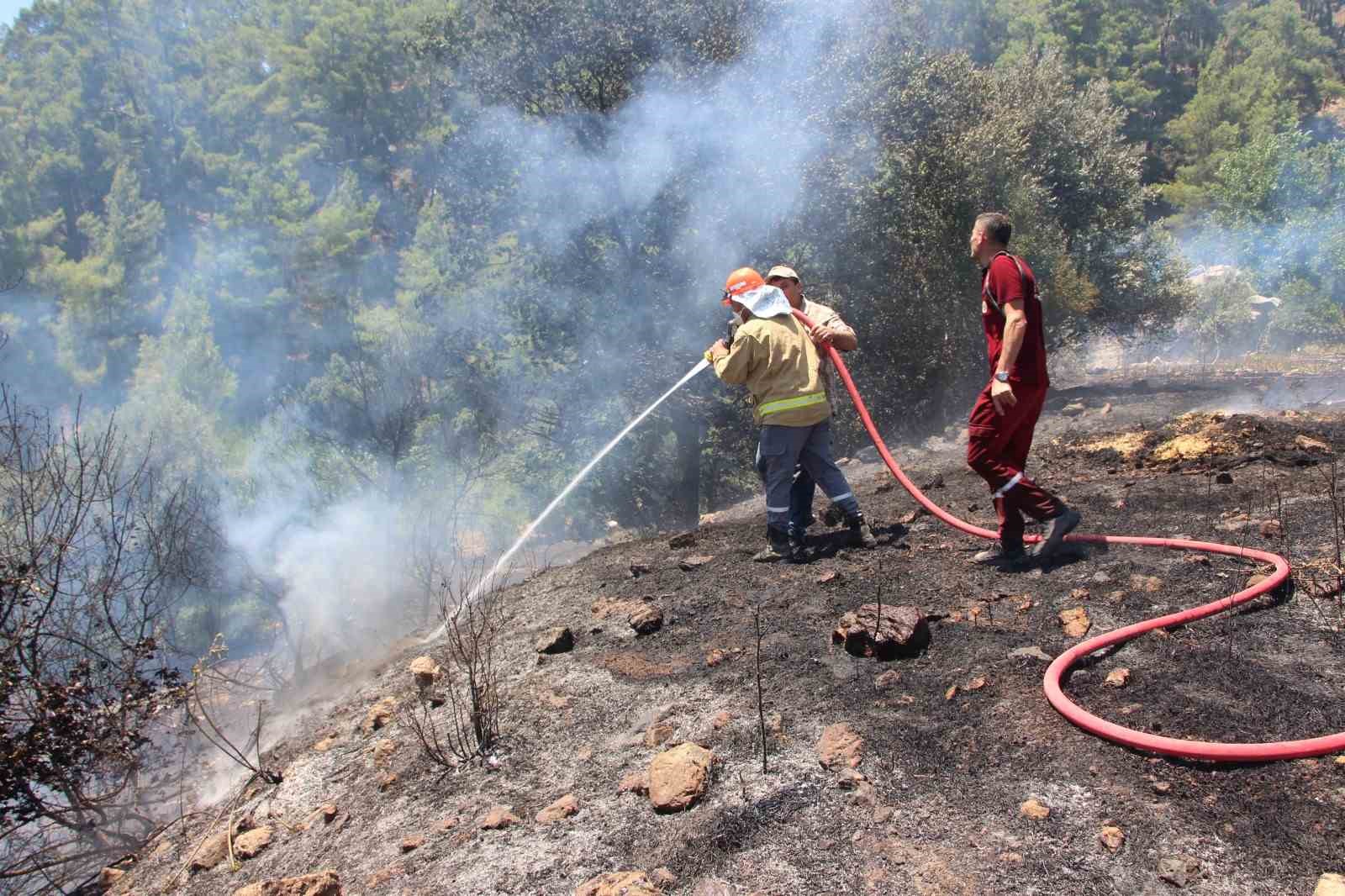 kumlucada makilik alanda cikan yangin evlere ve ormanlik alana sicramadan sonduruldu 6 JqmNKW1f