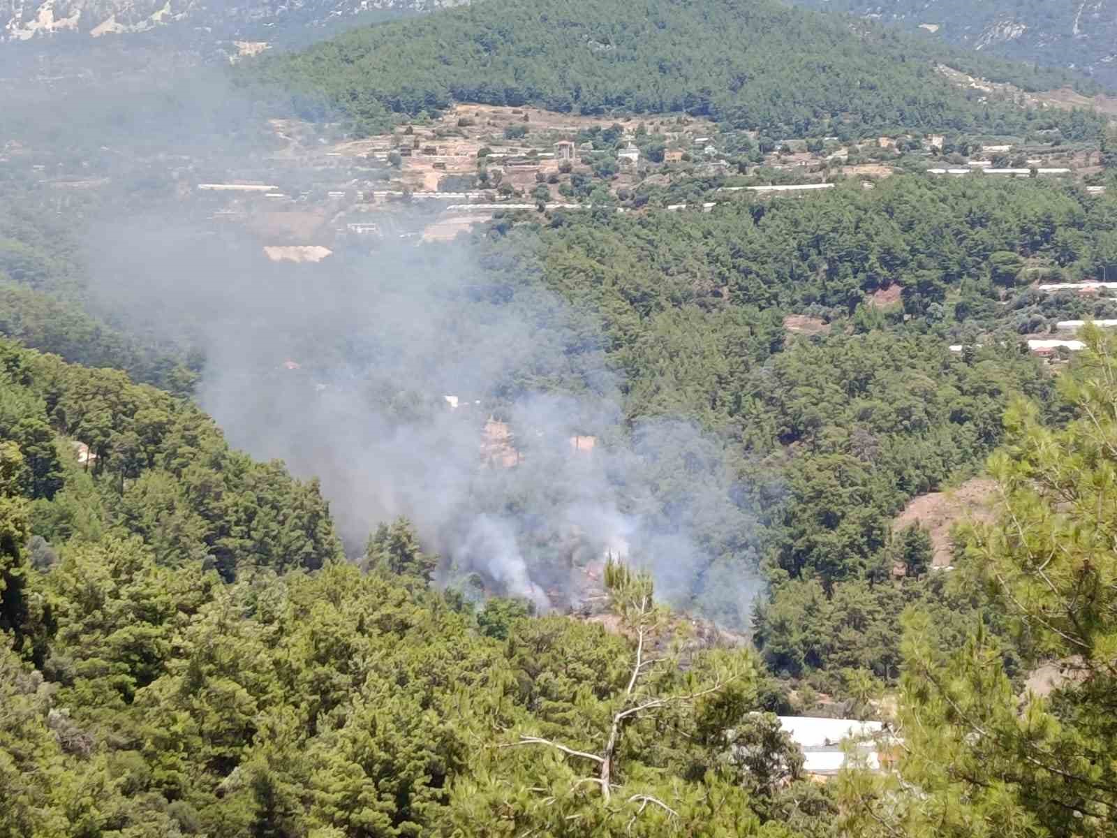kumlucada makilik alanda cikan yangin evlere ve ormanlik alana sicramadan sonduruldu 7 nweqAe9M