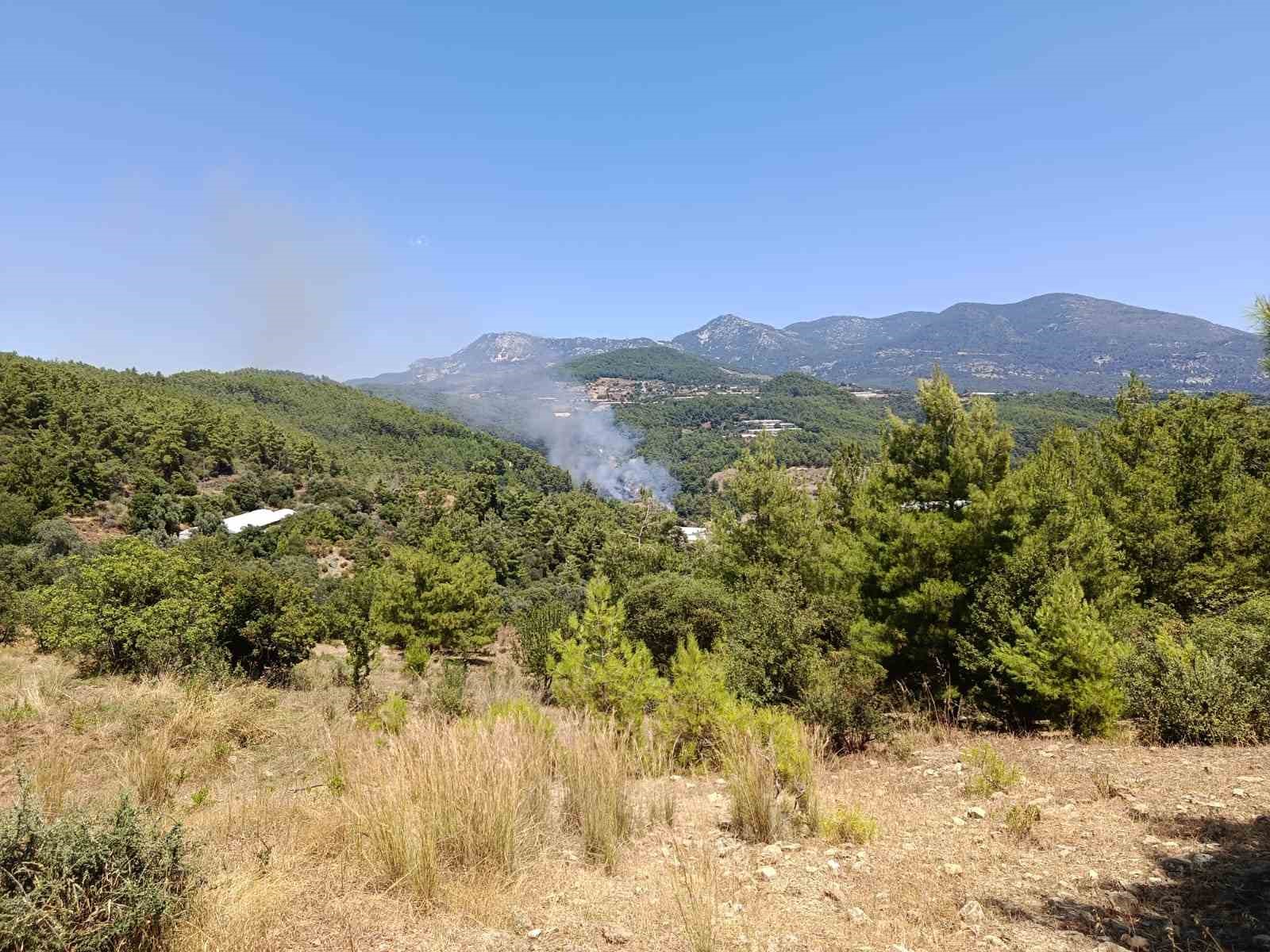 kumlucada makilik alanda cikan yangin evlere ve ormanlik alana sicramadan sonduruldu 8