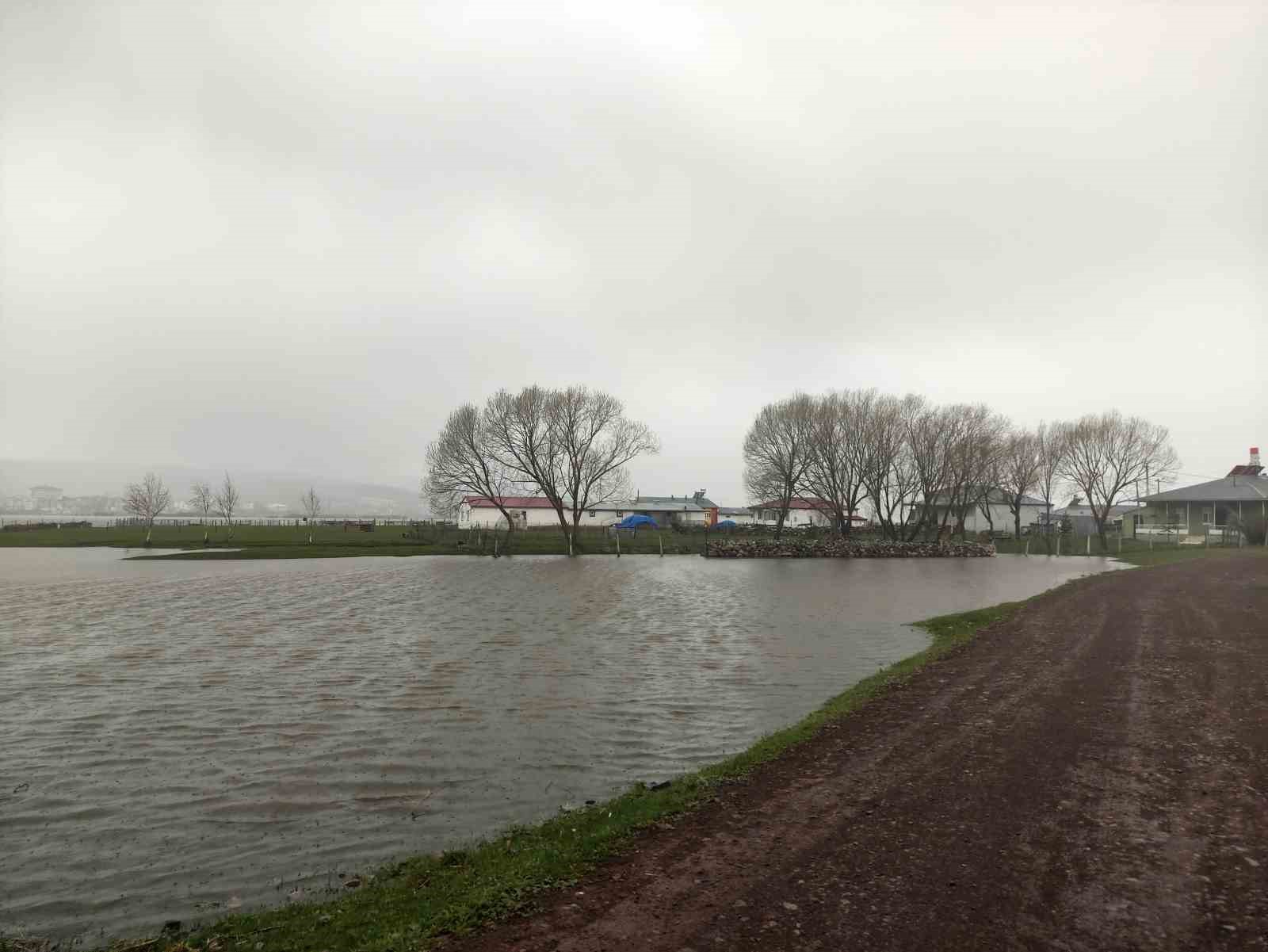 kura nehri tasti tarim arazileri sular altinda kaldi 1 jL2rjOtQ