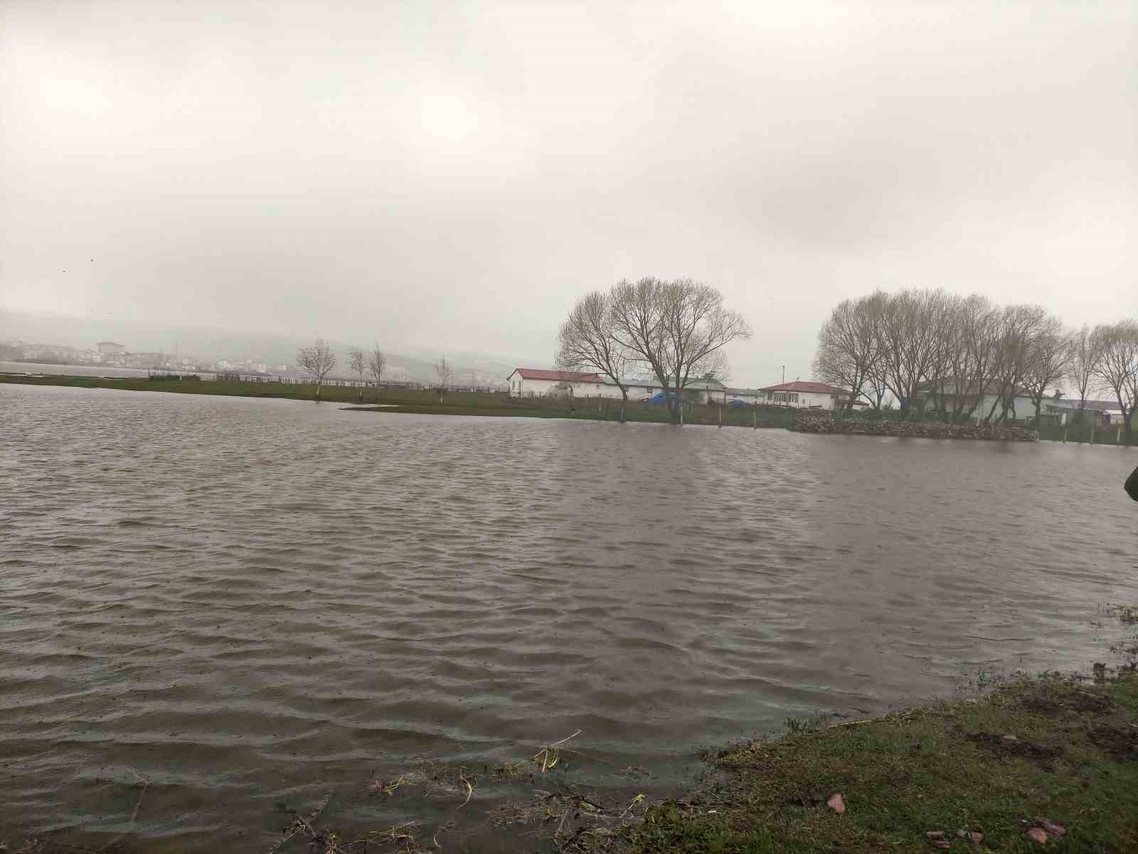 kura nehri tasti tarim arazileri sular altinda kaldi 3 wkfATtpn
