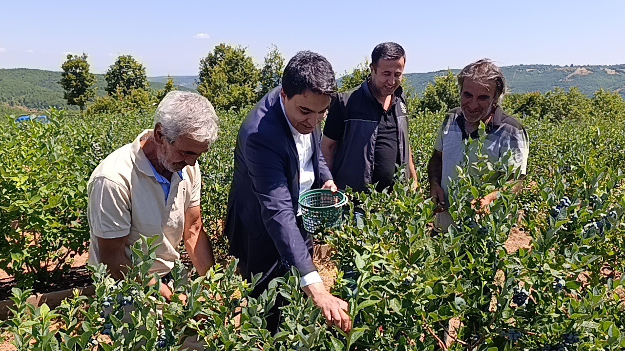 kurak arazi devlet destegiyle bereketli topraklara donustu 4 mzyIdrHf