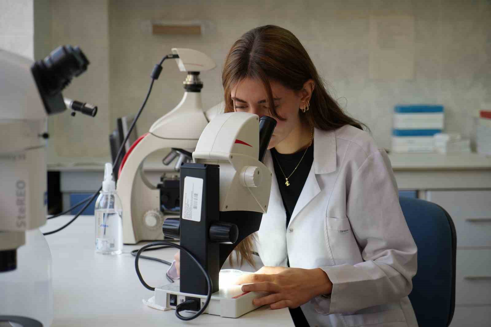 kurakligin ardindan sinek istilasi basladi 8 3dagzlPe