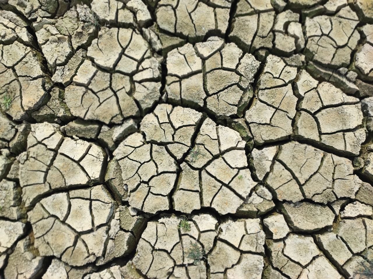 kurakligin izi seyhan baraj golunde sular cekilince toprak catladi 8
