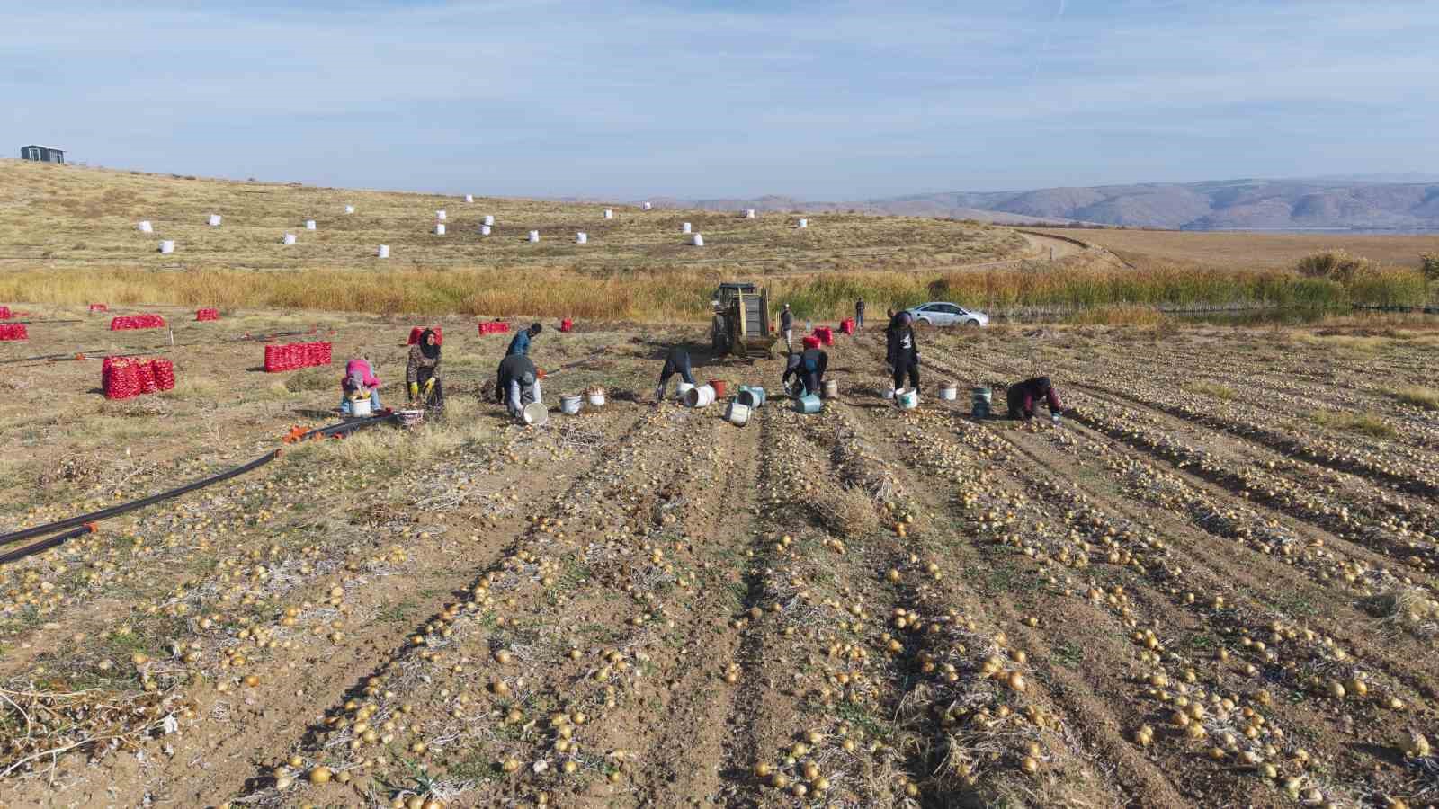 kuraklik riski buyuyor ciftciden uyari suyu dikkatli kullanmazsak ekmegimizi kaybederiz 4 nt9mgaqZ