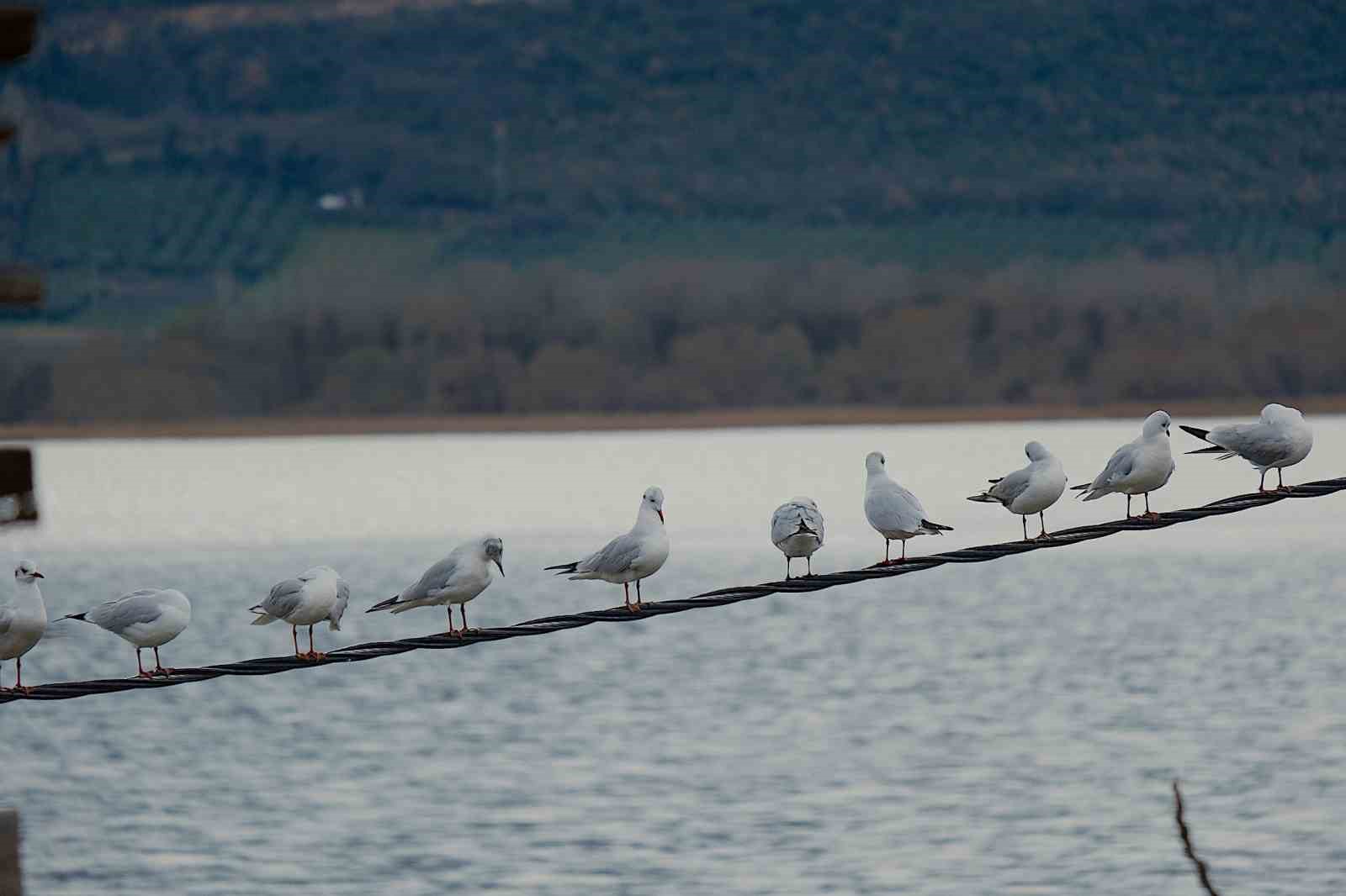 kuraklikla bogusuyorduyagislarla yeniden kucuk venedik oldu 5 4t9RQ8wY