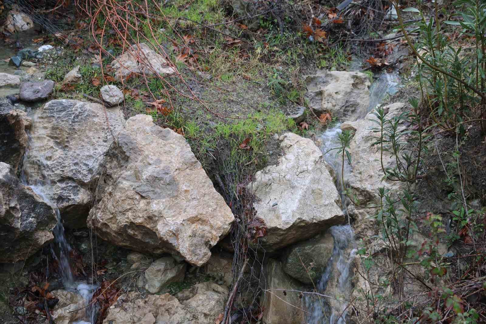 kuraklikla kuruyan delicay yeniden akmaya basladi ciftcinin yuzu guldu 3 BKs5RZsh