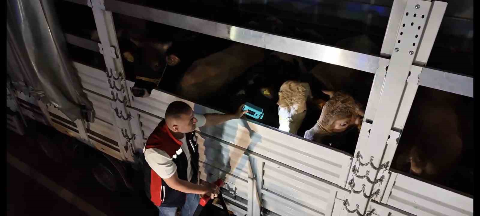 kurban bayrami oncesi istanbulda sevk noktalarinda yogun mesai 0 4Uzky5f1