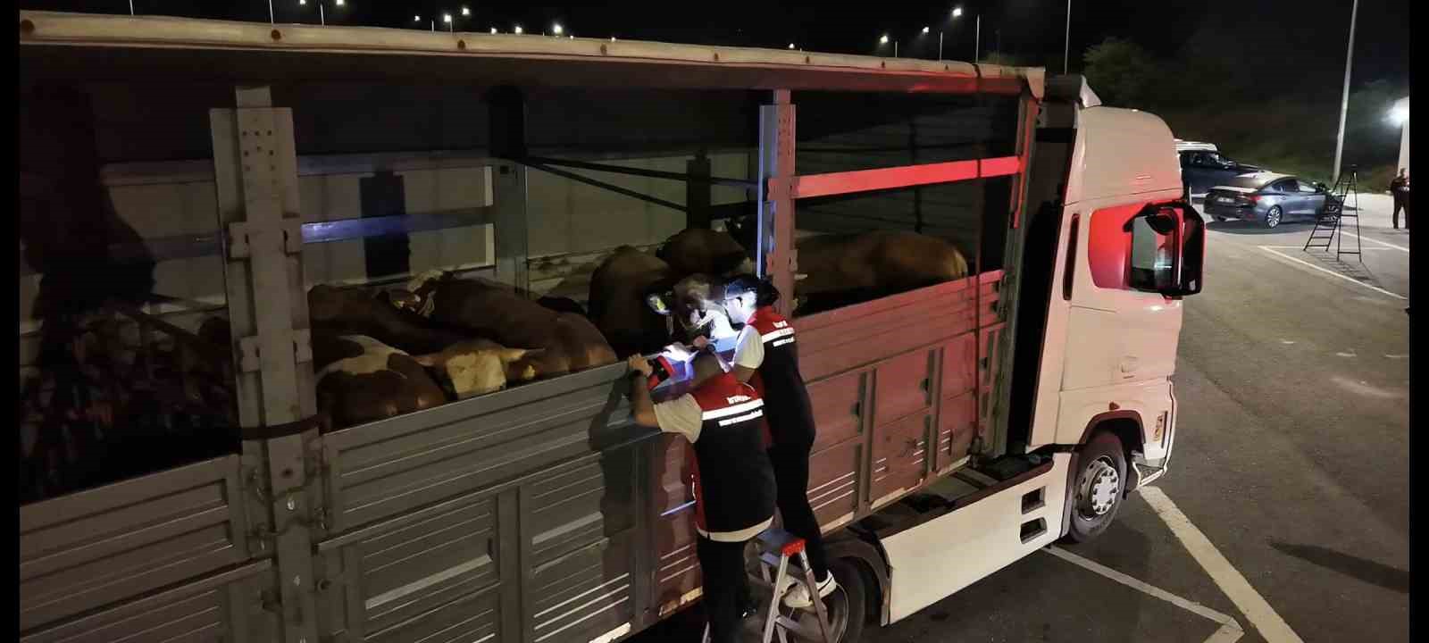 kurban bayrami oncesi istanbulda sevk noktalarinda yogun mesai 1 3bXid3NY