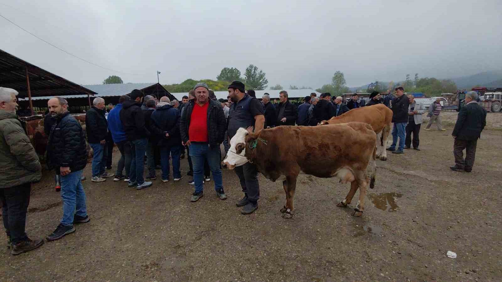 kurban bayramina saatler kala kurban pazarinda pazarliklar kizisti 3 W8Vj4rkV