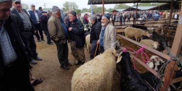 kurban-bayramina-saatler-kala-kurban-pazarinda-pazarliklar-kizisti-v7lk4sYK.jpg