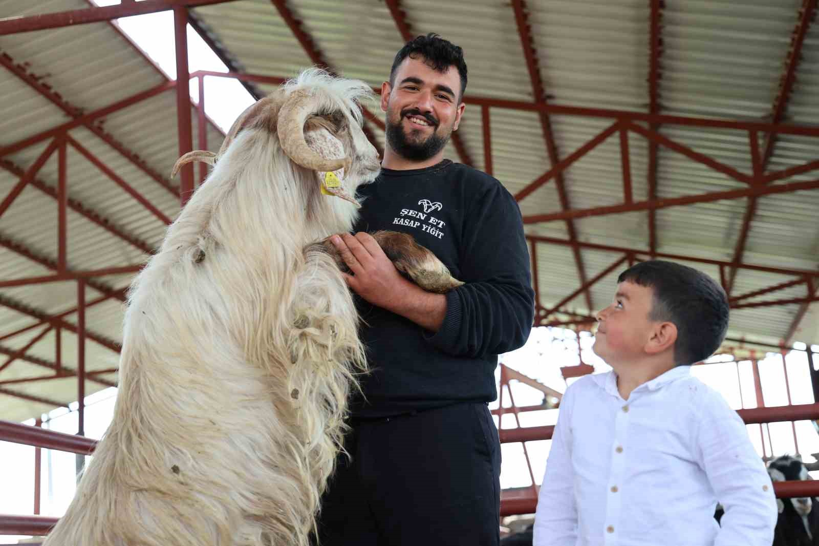 kurban mesaisinde rekor heyecani 140 kilogramlik dev keci 1 ymhjnrBu