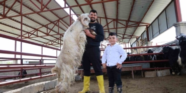 kurban-mesaisinde-rekor-heyecani-140-kilogramlik-dev-keci-H1jag4Gx.jpg
