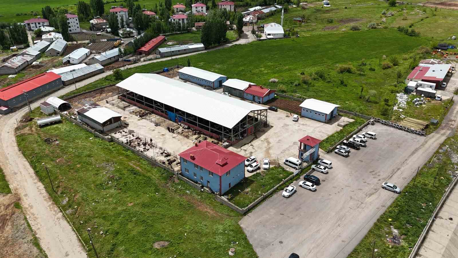 kurban pazarinda bayram yogunlugu 5 qcXE9nAm