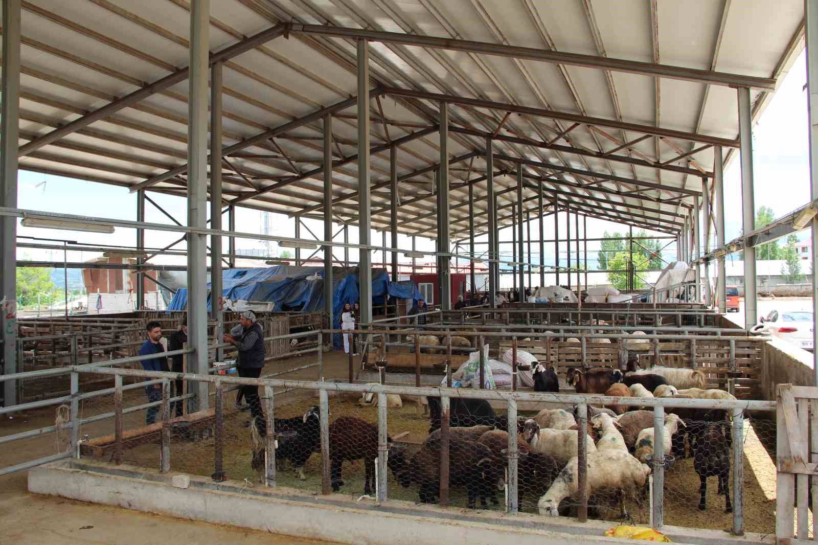 kurban pazarinda bayram yogunlugu 6 VaNgmMKg