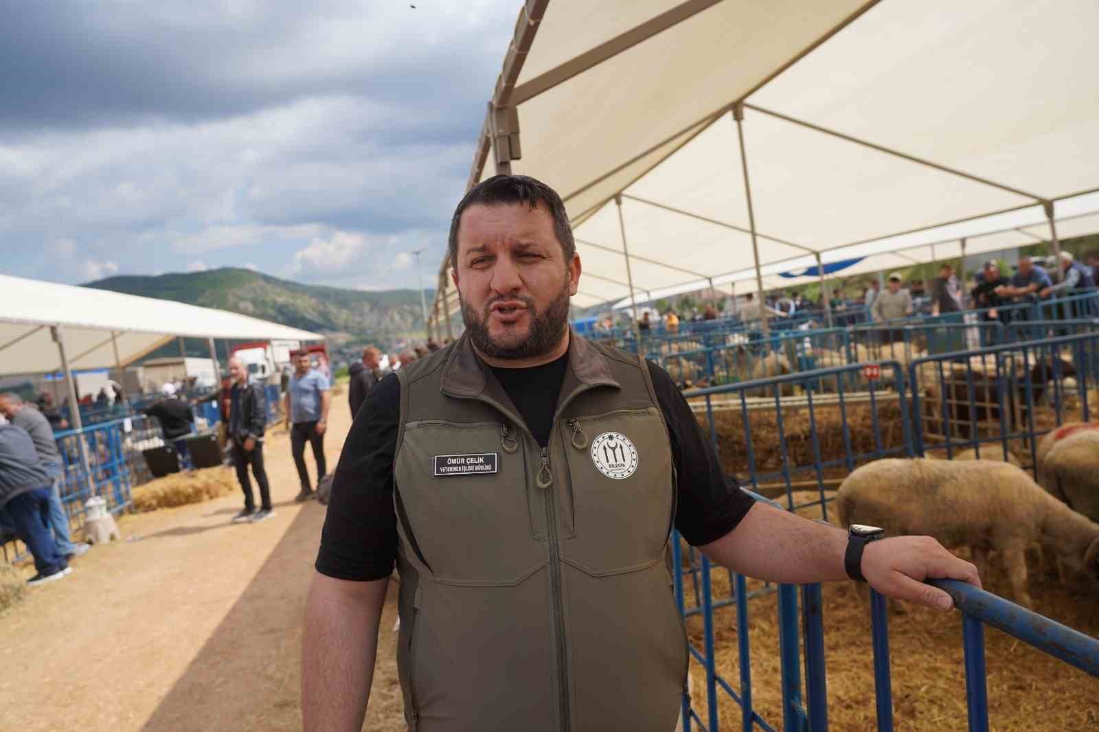 kurban pazarinda hayvanlara ultrason cihazi ile gebelik testi yapildi 3 WcPsIUsB