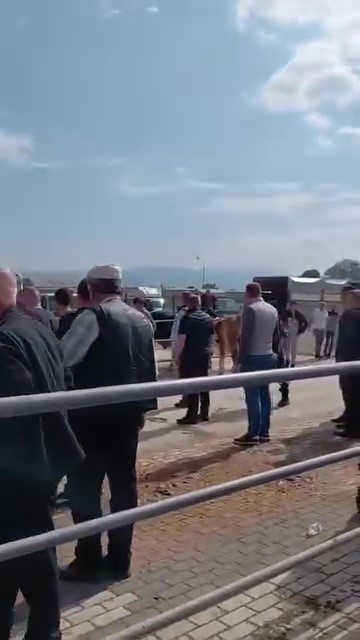 kurban pazarinda kavga jandarma havaya ates acti kadin astsubay araya girdi 2