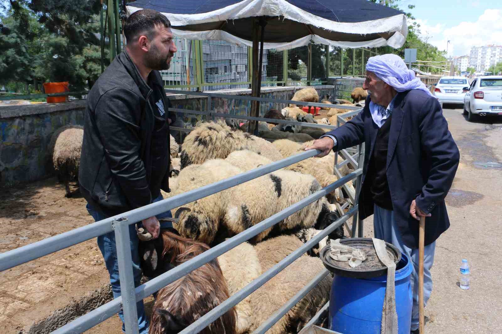 Kurban pazarında sessizlik: Satıcılar son günleri bekliyor 4 kurban pazarinda sessizlik saticilar son gunleri bekliyor 0 Rv7YDCHB