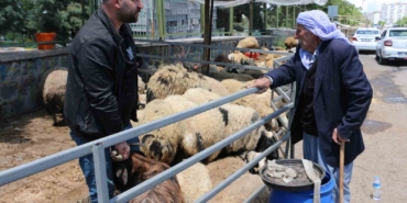 kurban-pazarinda-sessizlik-saticilar-son-gunleri-bekliyor-UZWs5NJL.jpg