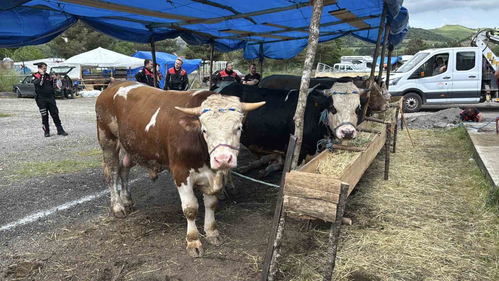 kurban pazarindaki yerlerini alan besicilere sahte para uyarisi 1 UGKUphC6