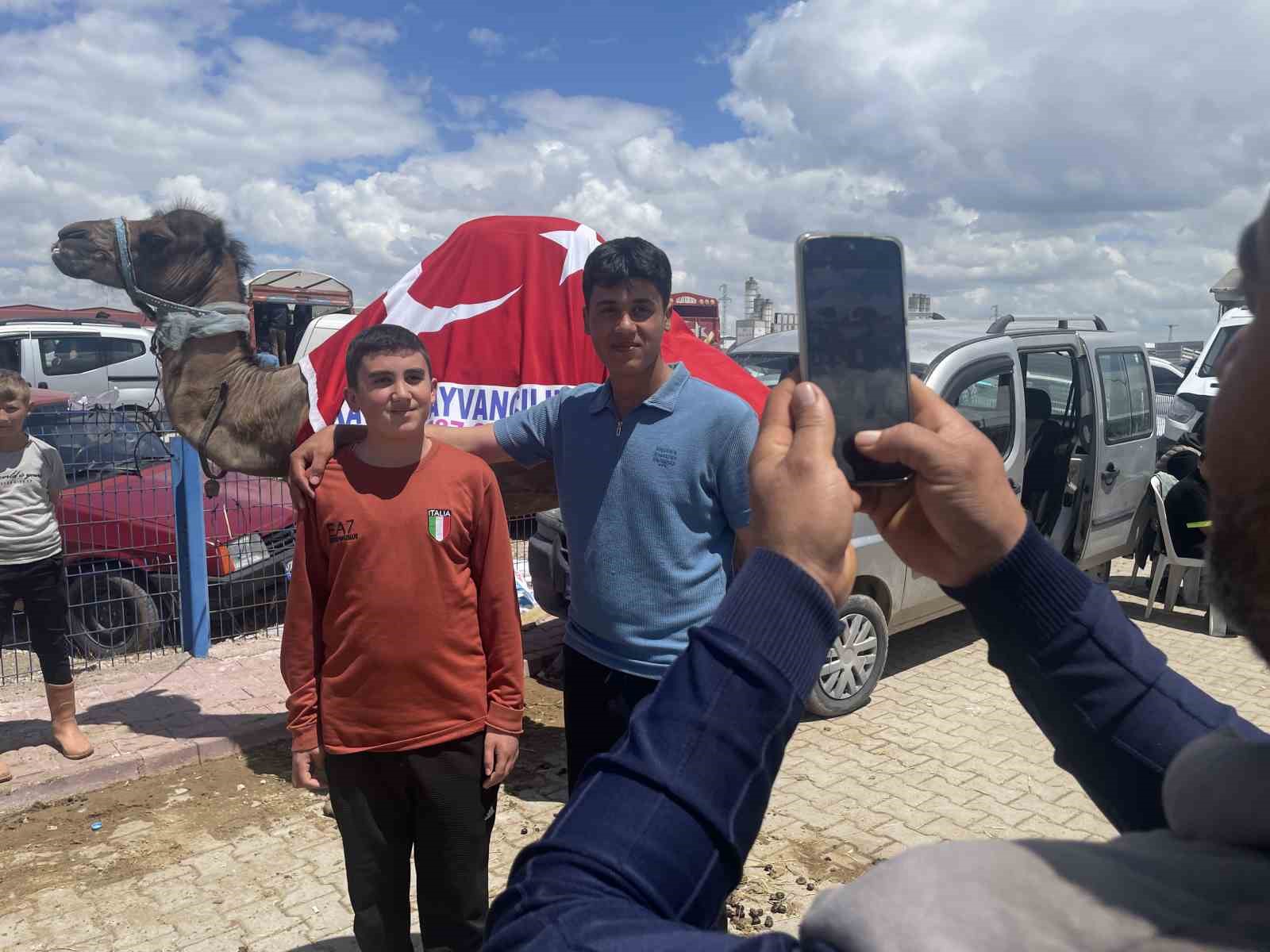 kurban pazarinin gozdesi deve 330 bin tlye satildi 3