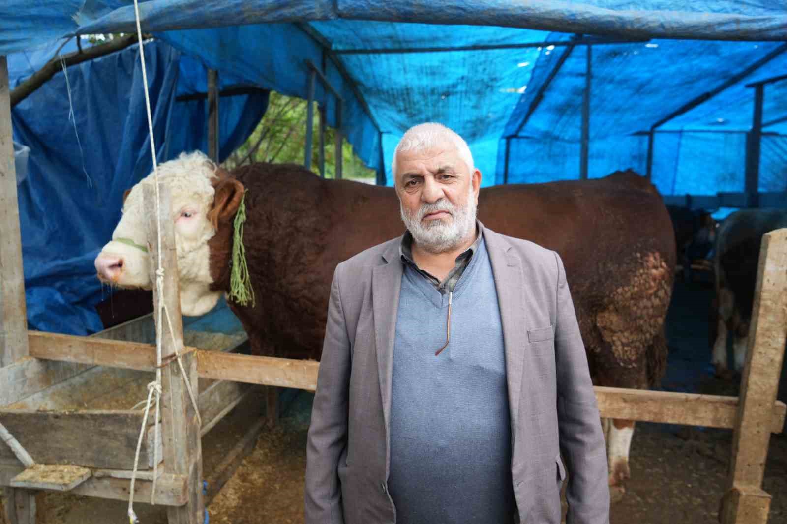 kurban pazarinin pasasi 13 tonluk boga 3