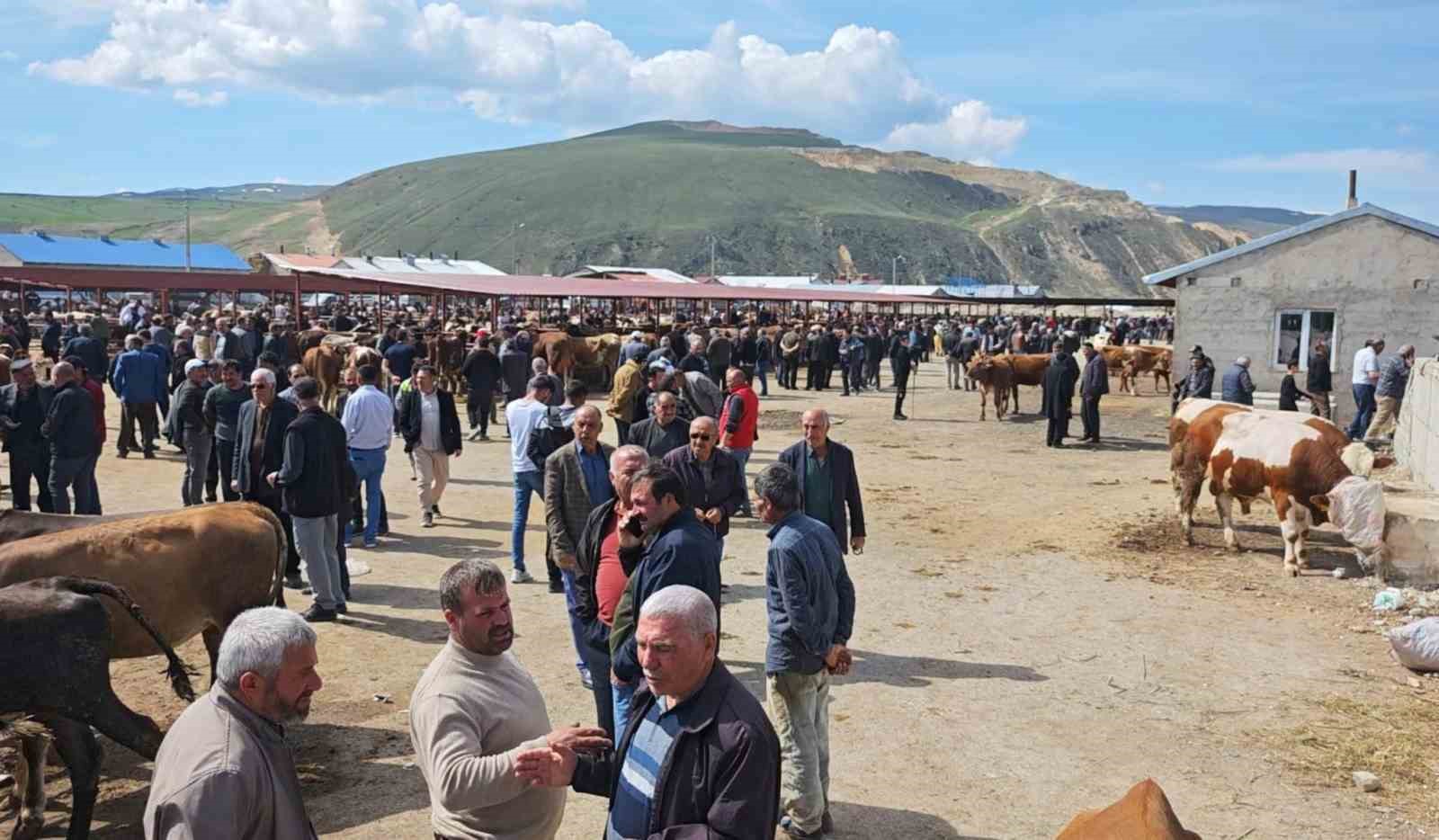 kurban pazarlarinda hareketlilik basladi 1 i52EITPm