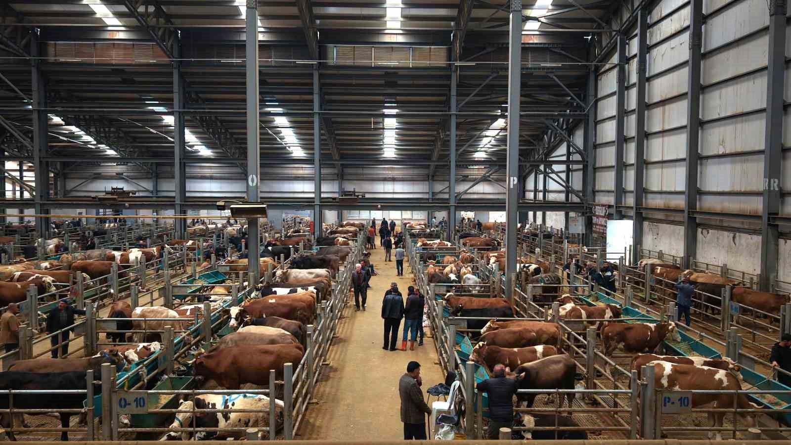 kurban pazarlarinda kiran kirana pazarlik 5 2QakrKg1