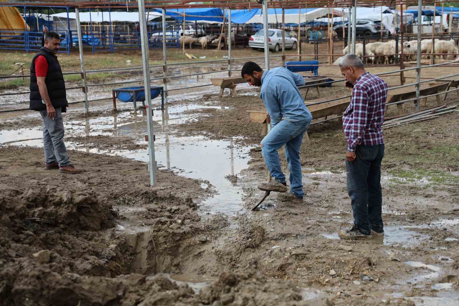 kurban pazarlarini su basti besiciler belediyeye isyan etti 9 j8IfLzzk