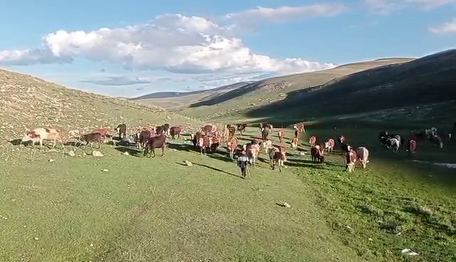 kurban satislarinda sosyal medya tuzagi 1 m1AOMY5a