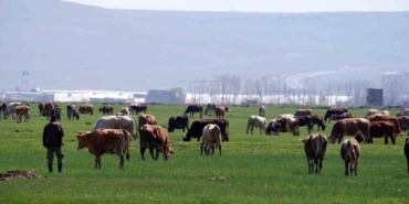 kurban-satislarinda-sosyal-medya-tuzagi-KBl8j8Fy.jpg