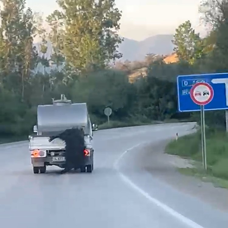 kurbanligi aractan sarkitip kilometrelerce surukledi 1 I5D2c2HO
