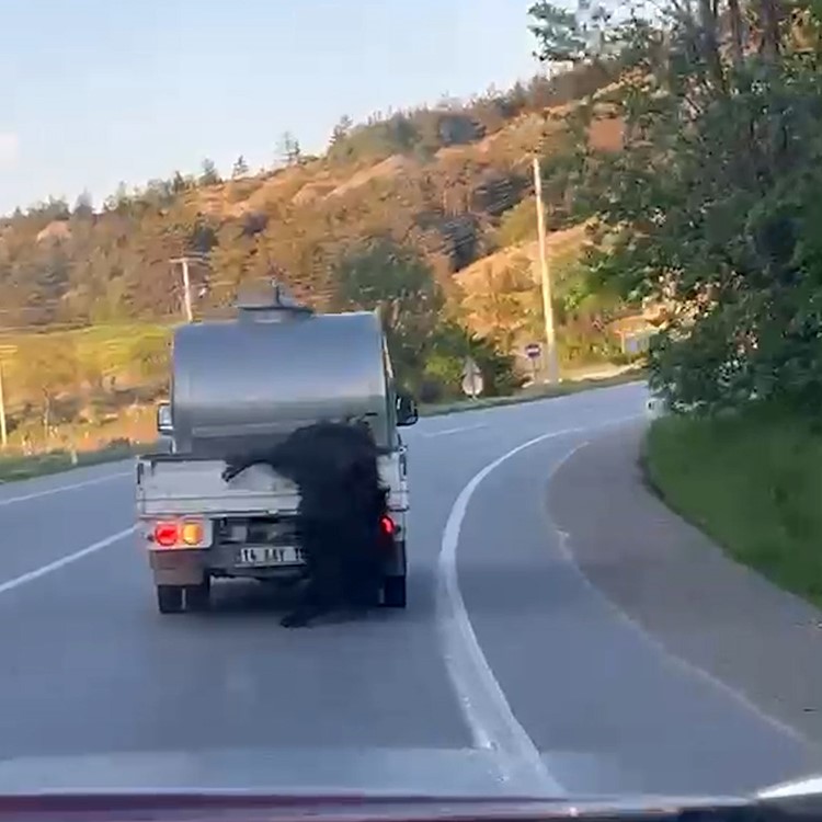 kurbanligi aractan sarkitip kilometrelerce surukledi 2 bpnDDiTv