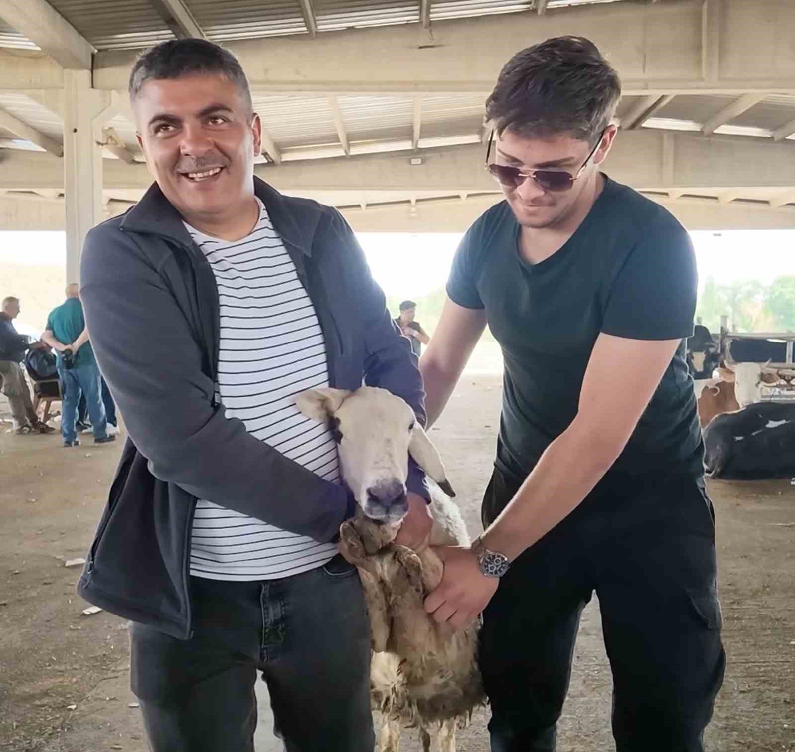 Kurbanlıklar alıcı buldu, yetiştirici bayrama mutlu girdi: "Dedikleri fiyata verdik, milleti kurbansız göndermedik" 7 kurbanliklar alici buldu yetistirici bayrama mutlu girdi dedikleri fiyata verdik milleti kurbansiz gondermedik 3