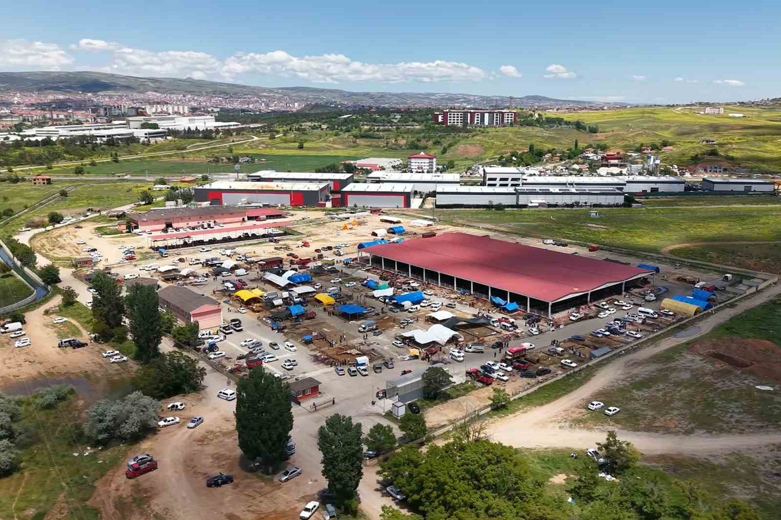 Kurbanlıklar alıcı buldu, yetiştirici bayrama mutlu girdi: "Dedikleri fiyata verdik, milleti kurbansız göndermedik" 10 kurbanliklar alici buldu yetistirici bayrama mutlu girdi dedikleri fiyata verdik milleti kurbansiz gondermedik 6