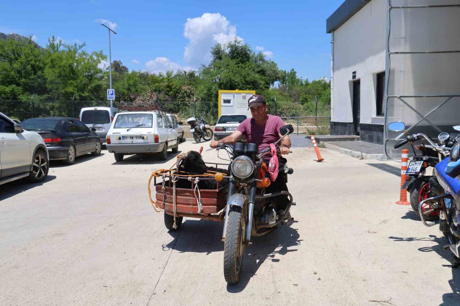 Kurbanlıkları sepetli motosikletlerle taşıdılar 4 kurbanliklari sepetli motosikletlerle tasidilar 0 W43lD9zH