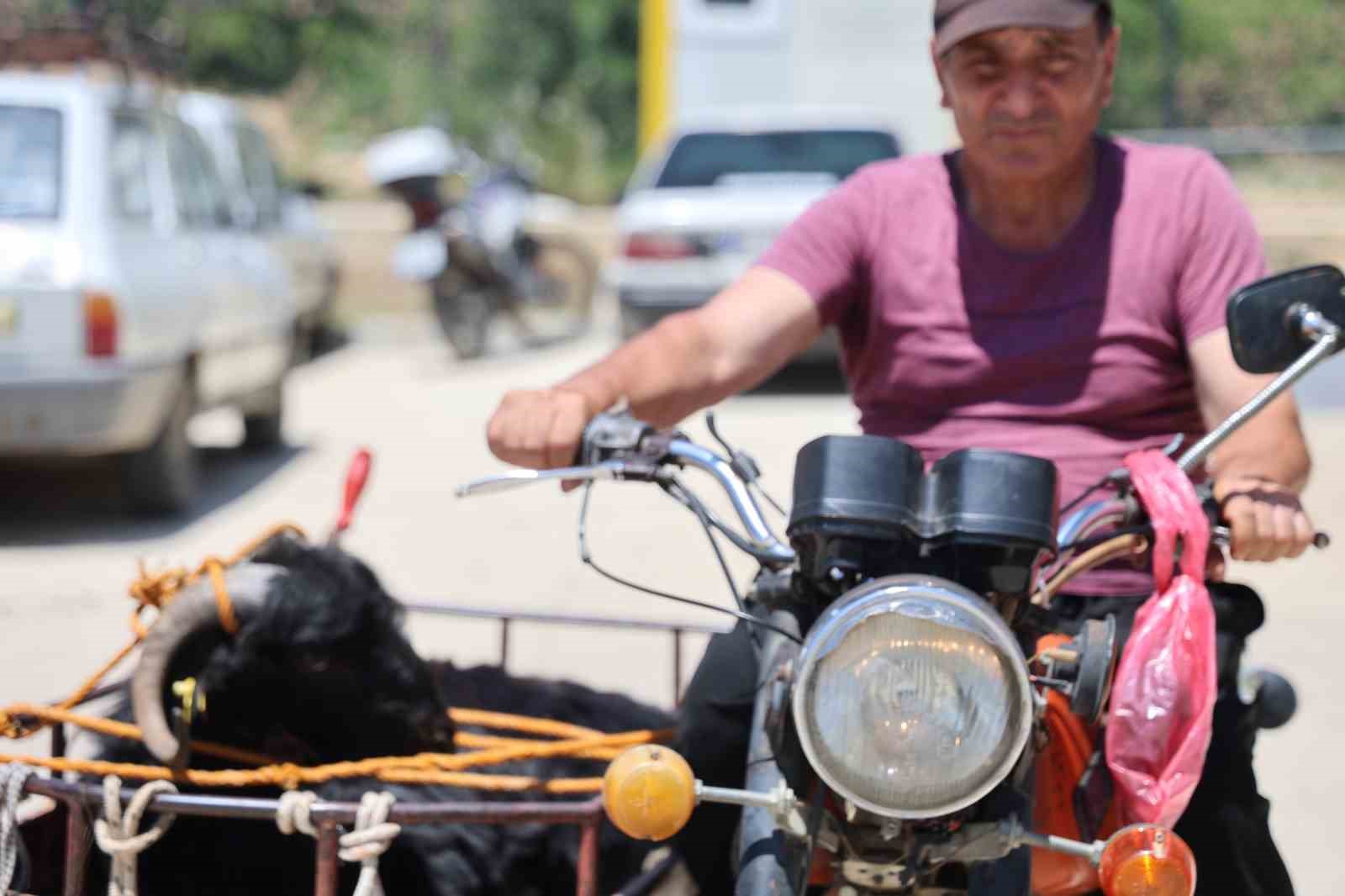 Kurbanlıkları sepetli motosikletlerle taşıdılar 6 kurbanliklari sepetli motosikletlerle tasidilar 2 XGlpBUtz