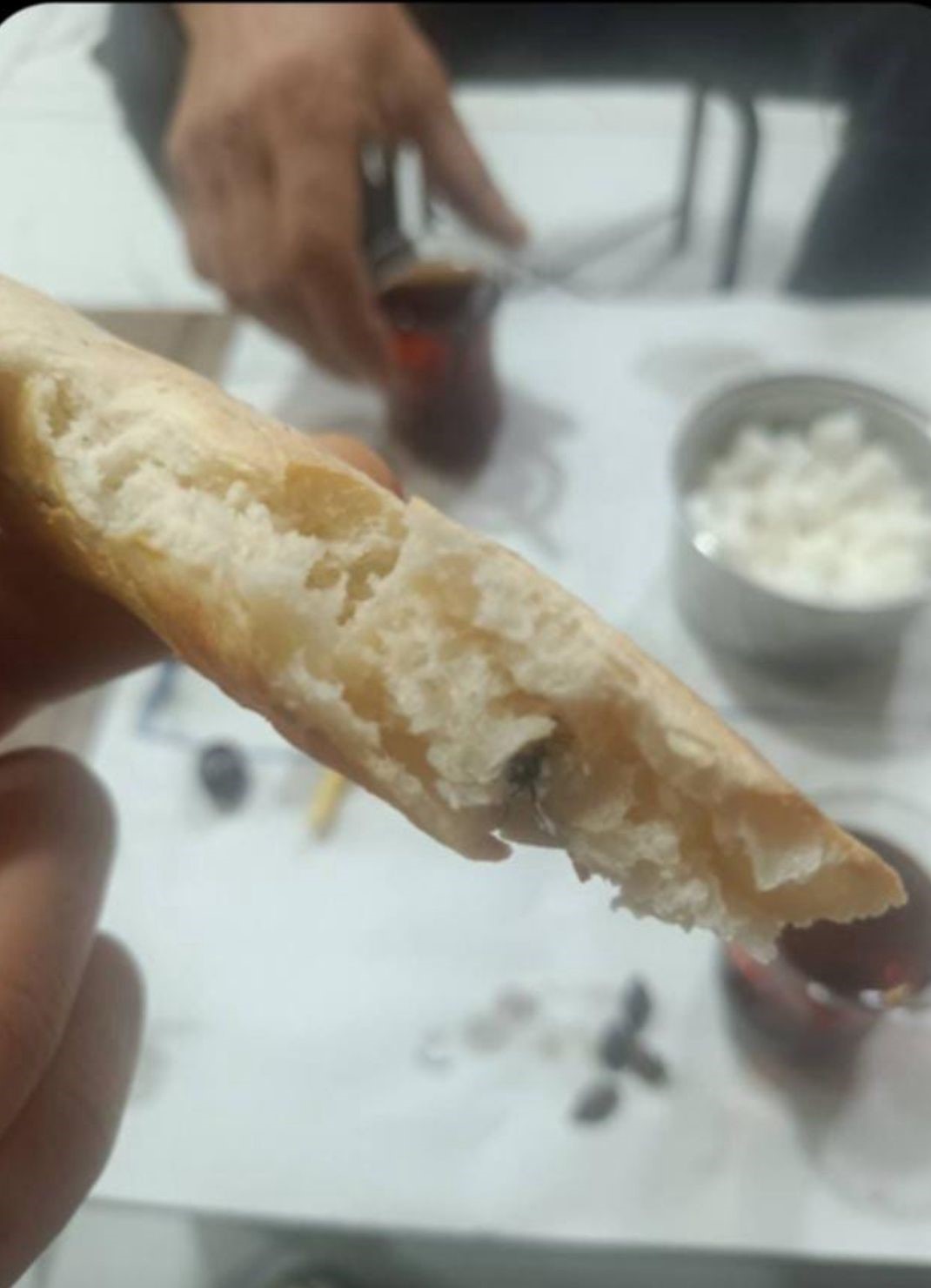 kurtalanda ekmegin icinden sinek cikti 0 vQHs1LaZ