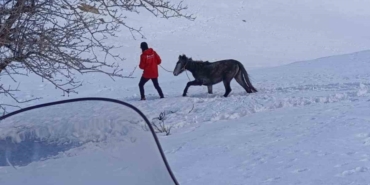 kurtlarin-saldirisina-ugrayan-ve-dagda-mahsur-kalan-at-kurtarildi-aaRkMCGb.jpg