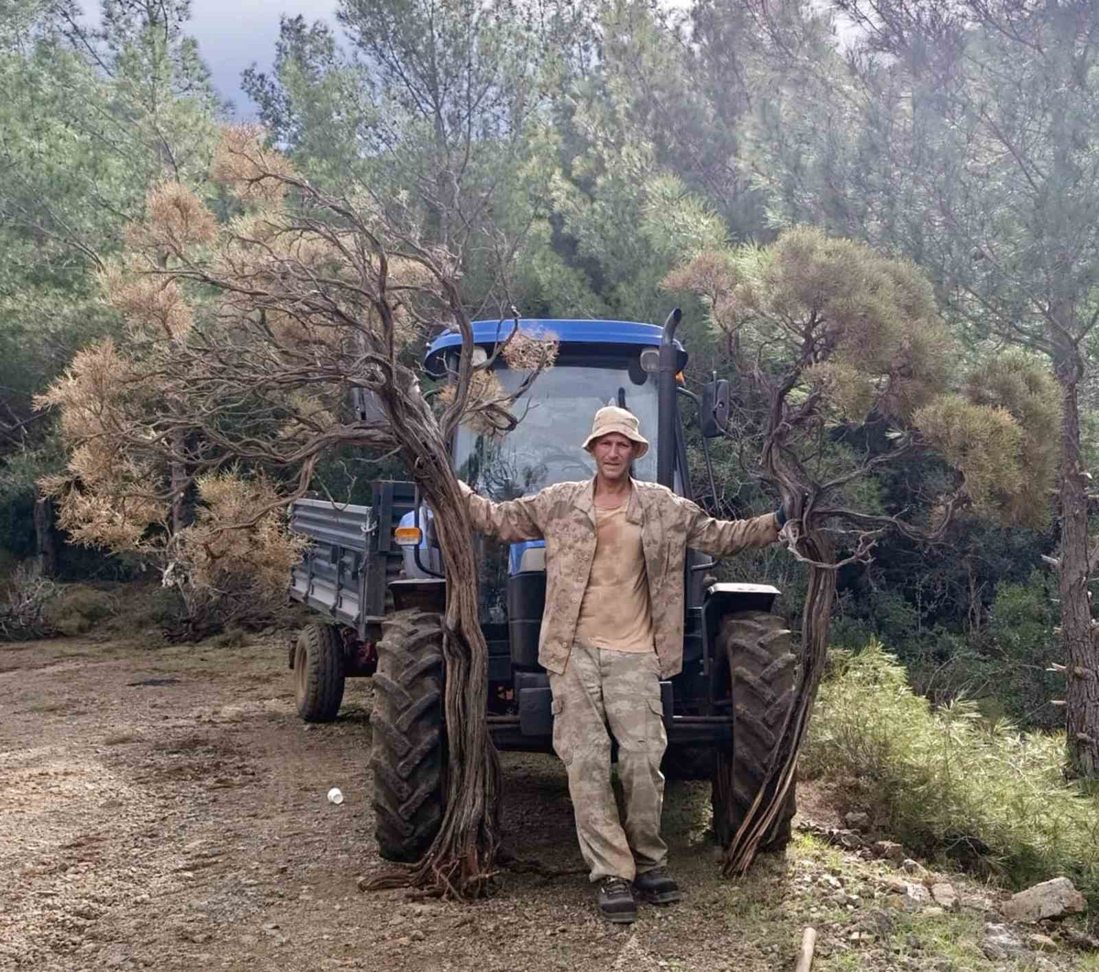 kuru geven koylunun gelir kaynagi oldu 0 8VLlrrXn