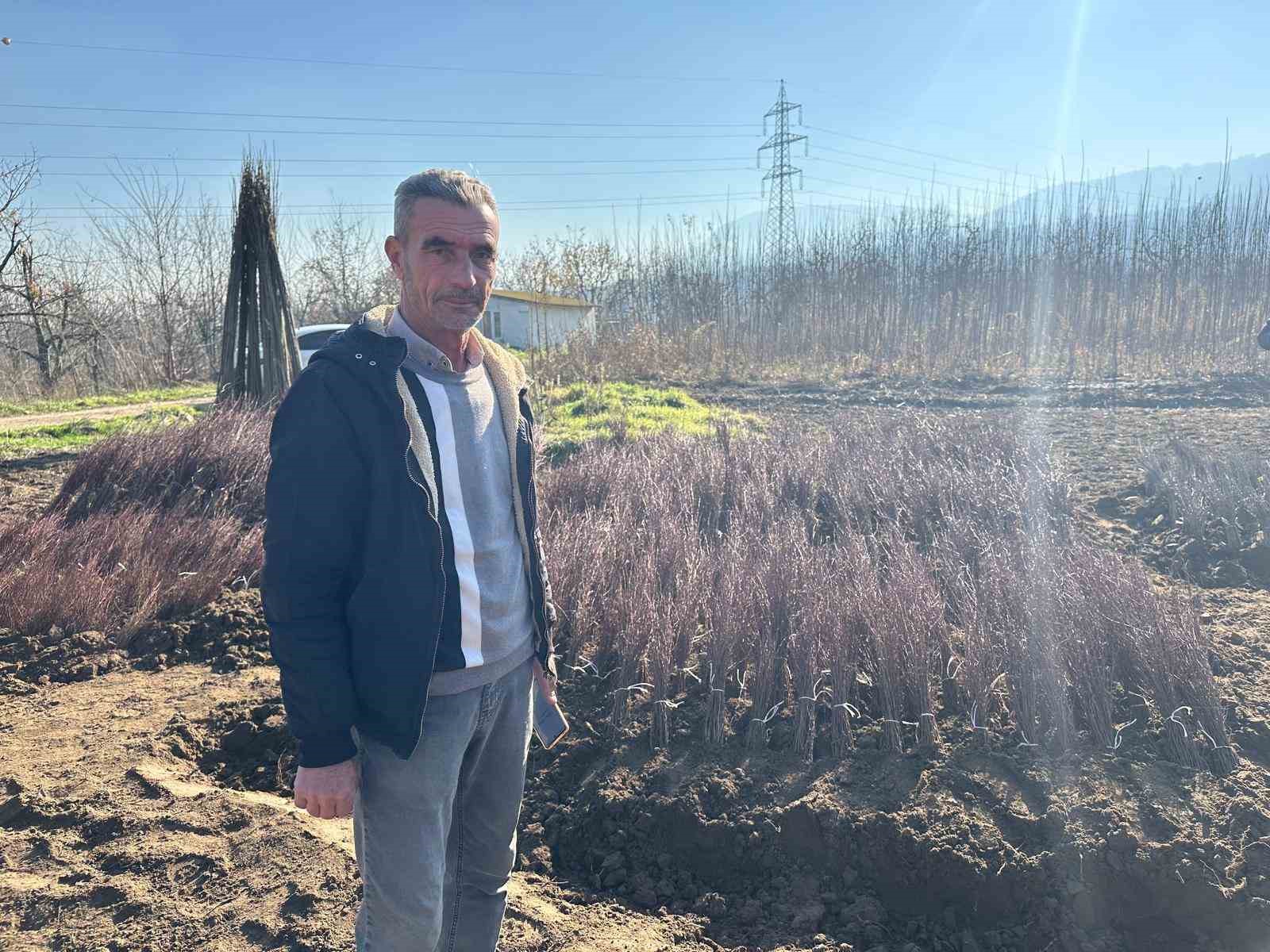 kurulan her meyve bahcesinde bursa imzasi var 0 nIS2ELPU