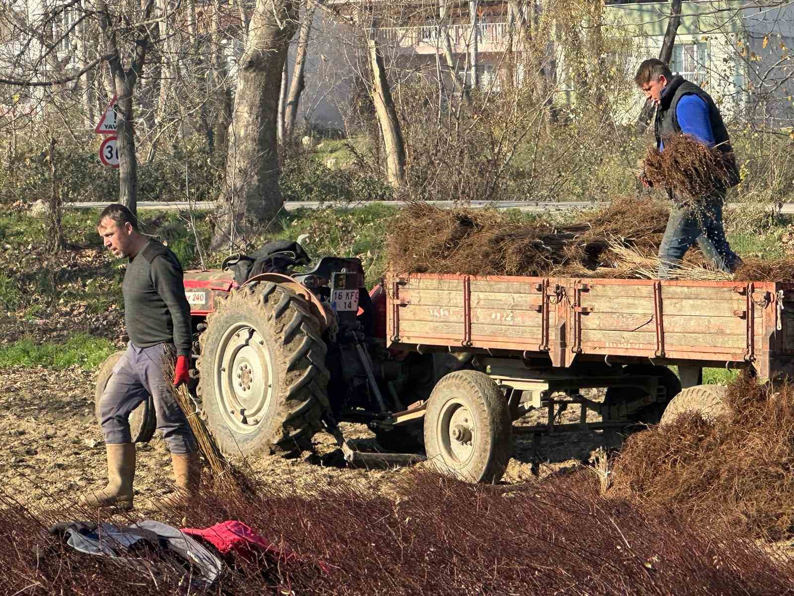kurulan her meyve bahcesinde bursa imzasi var 2 OW7Ceqpr