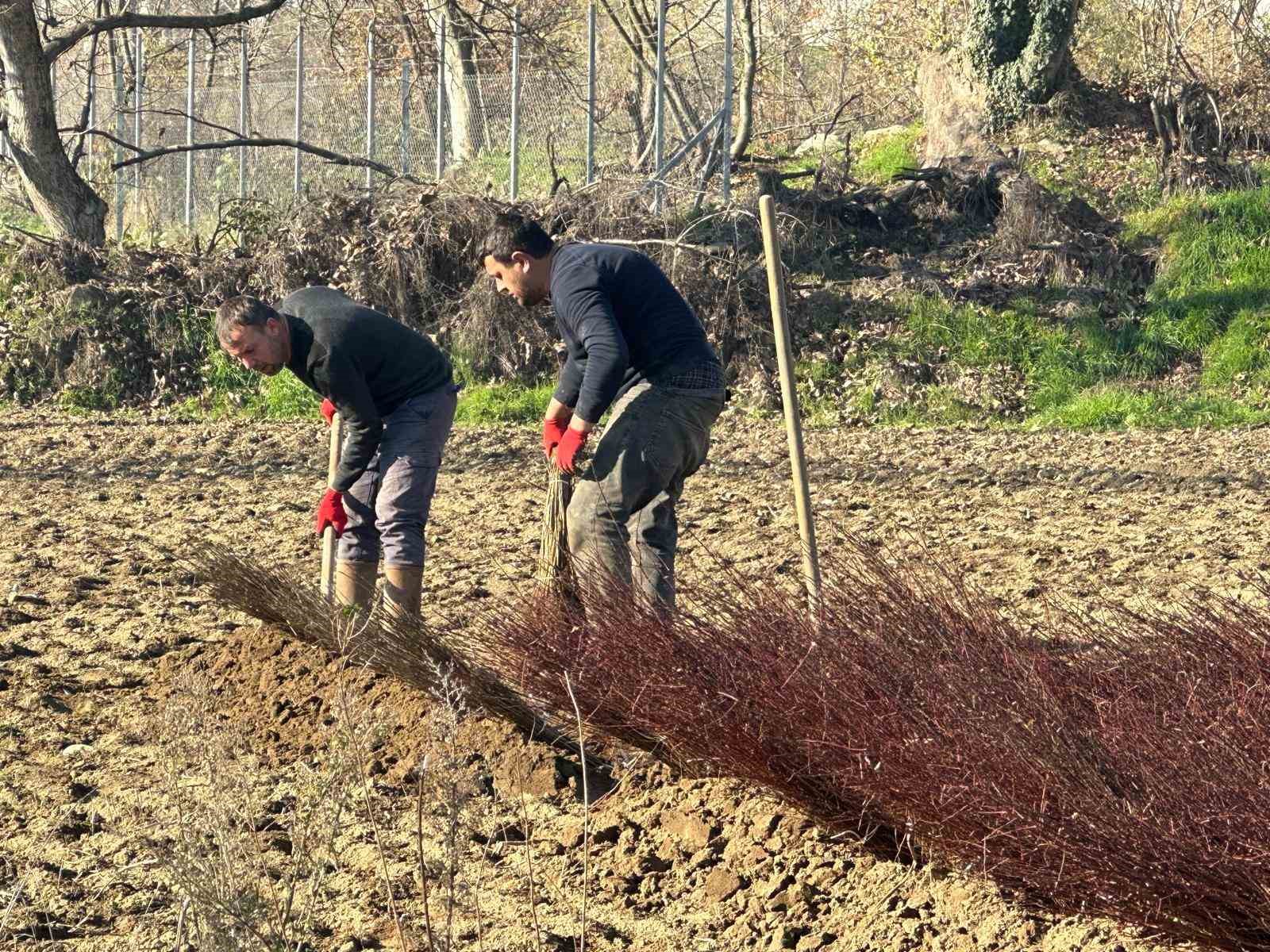 kurulan her meyve bahcesinde bursa imzasi var 4 Hwv1BIju