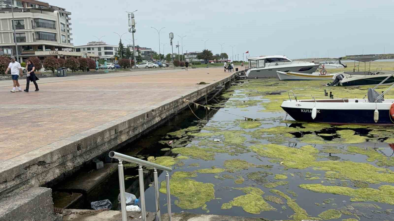 kurupelit marinadaki deniz marulu sorununa nester 345 bin metrekup dip camuru temizlenecek 4 KfZd44wV